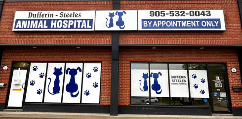 Dufferin Steeles Animal Hospital is located near keele and steeles right off tandem road treating cats and dogs your pets veterinarian.